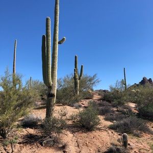 Meet your Posher, Melanie